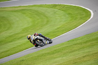 Advanced Group Yellow Bikes